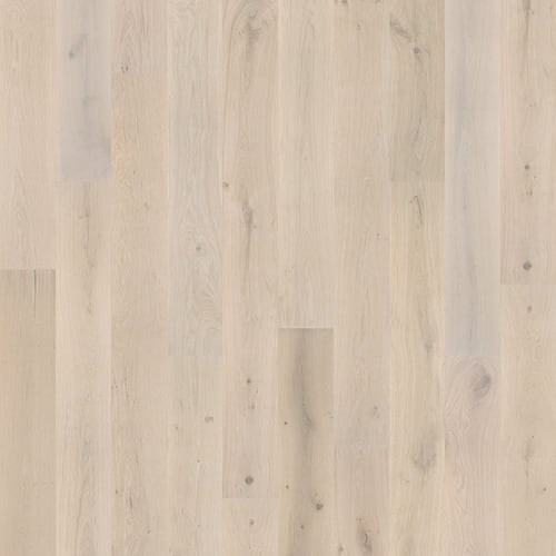 Milky Way Collection in Aurora Hardwood