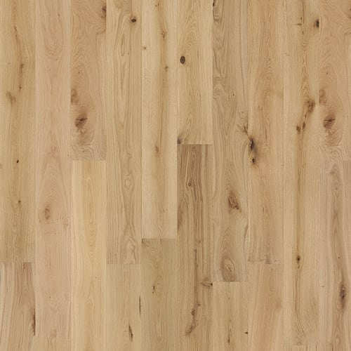 Milky Way Collection in Cosmic Hardwood