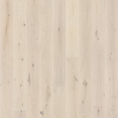 Milky Way Collection in Daphnis Hardwood