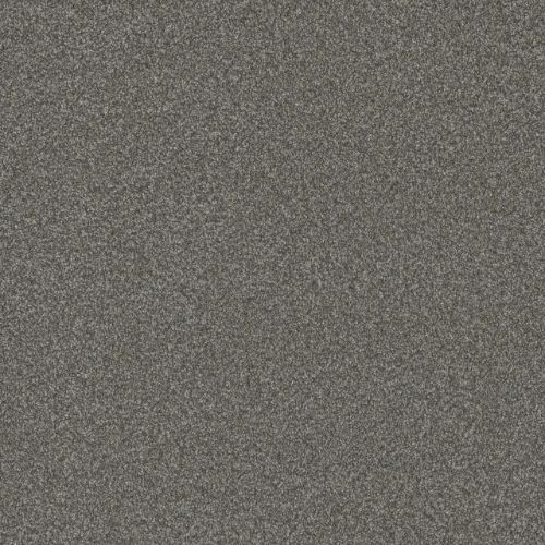 BLAZER I in Mill Stone Carpet