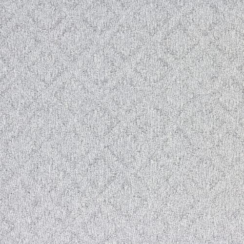 Mojave in Valley Carpet