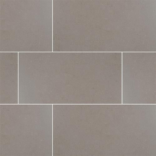 Dimensions in Gris - 24x48 Tile