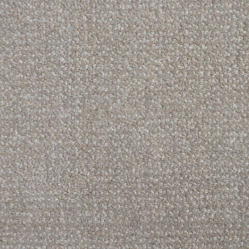 Nobility (cav) in Timber Carpet