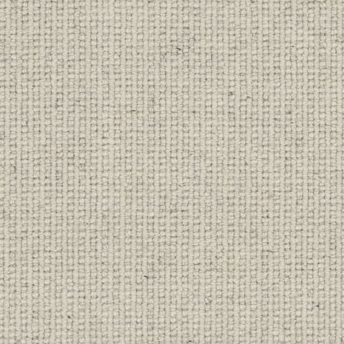 Dewberry in Radiance Carpet