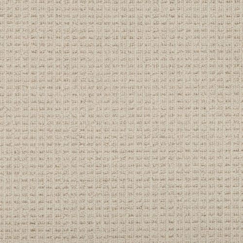 Adderley in Illuminating Carpet