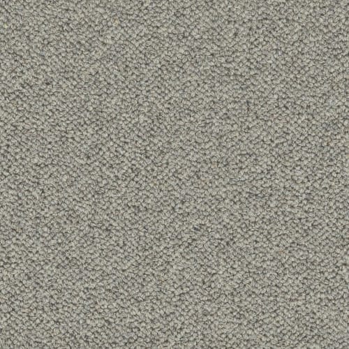 Newhaven in Shale Carpet