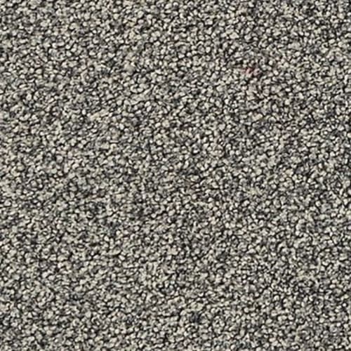 Vista View I in Marina Carpet