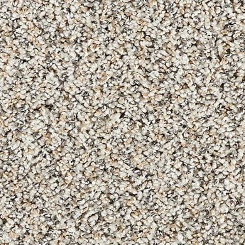 Restorative II in Pelican Carpet