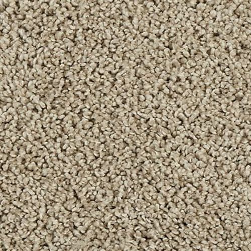Classic Fit II in Island Taupe Carpet