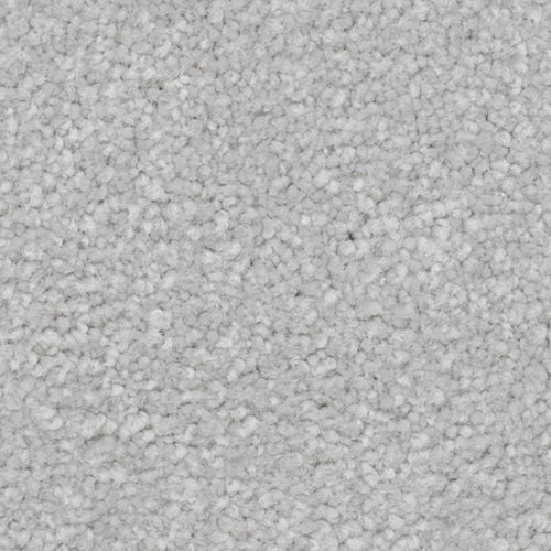 TRUE ADMIRATION in Mystique Carpet