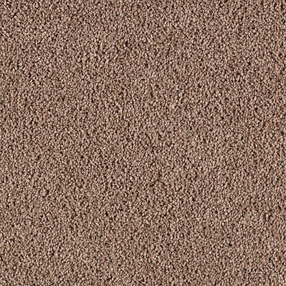 Simply Spectacular in Soft Suede Carpet