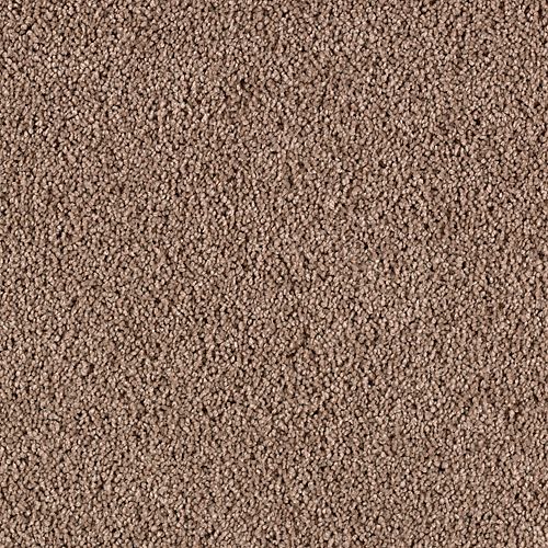 Simply Spectacular in Soft Suede Carpet