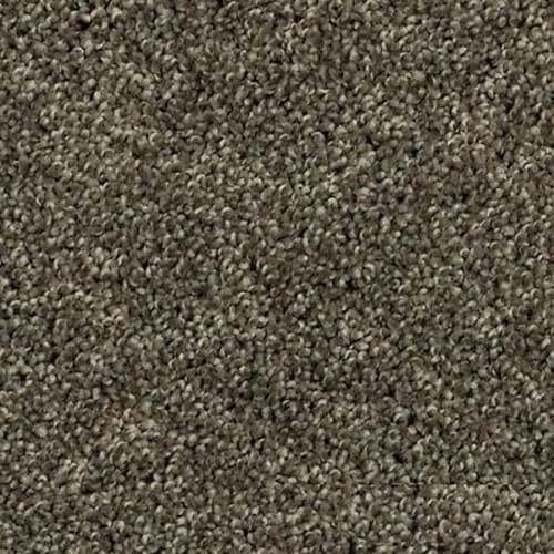 Tonal Luxury II in Meteorite Carpet