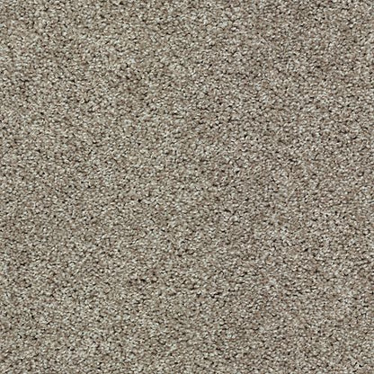 Tonal Allure II in Afternoon Tea Carpet