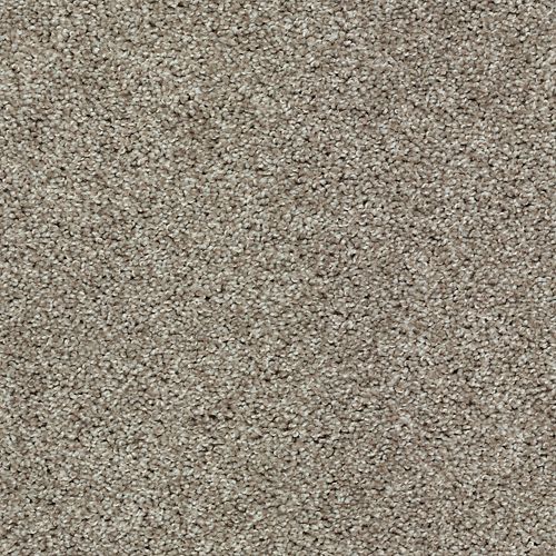 Tonal Allure II in Afternoon Tea Carpet
