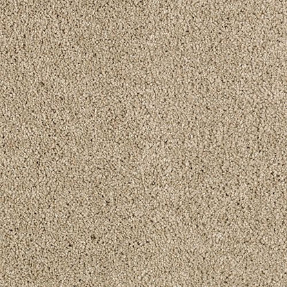 Delightful Charm in Blonde Willow Carpet