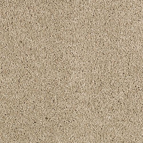 Delightful Charm in Blonde Willow Carpet