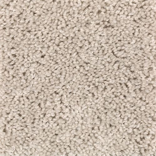 Natural Decoration in Crumb Cookie Carpet