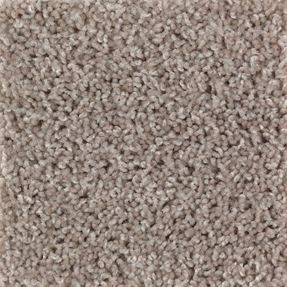 Authentic Escape in Gleaming Tan Carpet