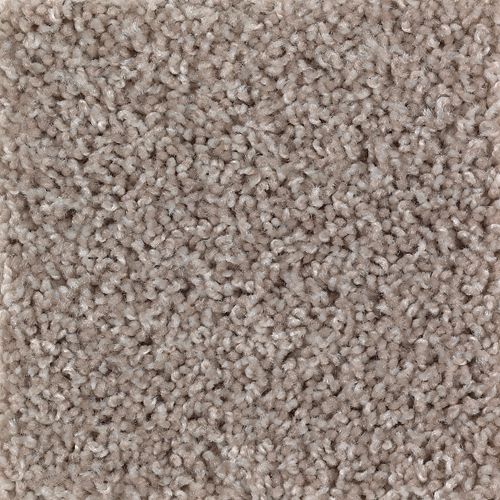 Authentic Escape in Gleaming Tan Carpet