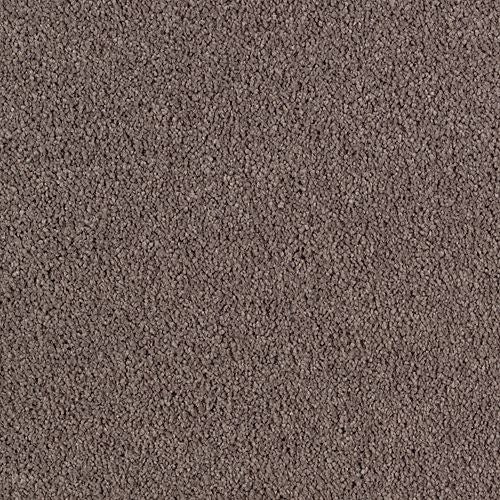 Luxurious Beauty in Truffle Carpet