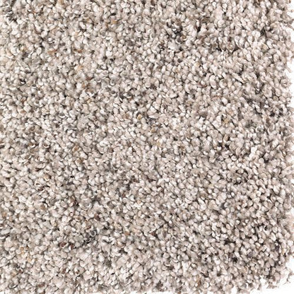 Soft Sensations I in Almond Latte Carpet