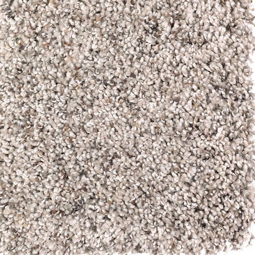 Soft Sensations I in Almond Latte Carpet