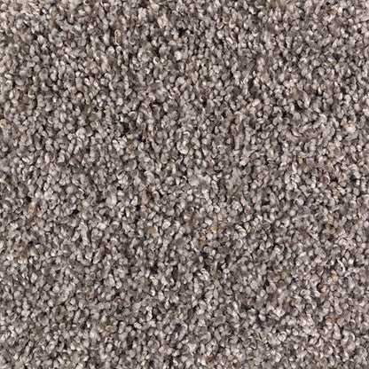 Soft Sensations II in Chocolate Swirl Carpet
