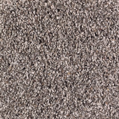 Soft Sensations II in Chocolate Swirl Carpet