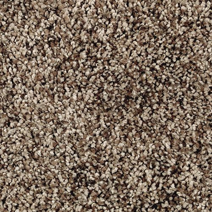 Softly Elegant I in Honeywood Carpet
