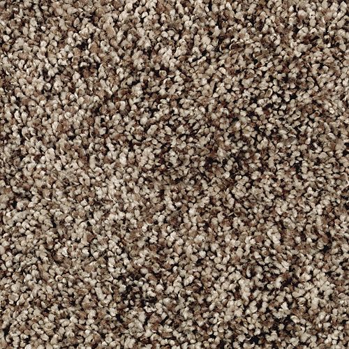 Softly Elegant I in Honeywood Carpet