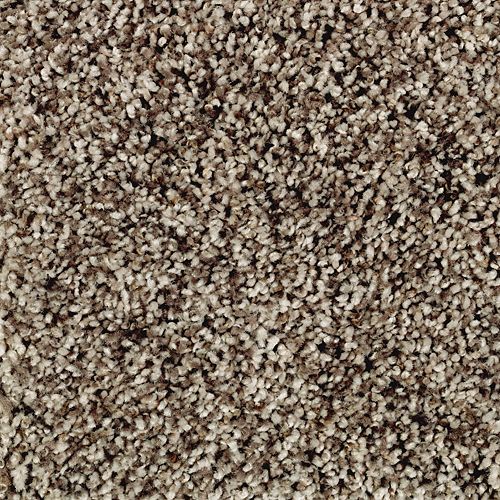 Softly Elegant II in Brazilian Coffee Carpet