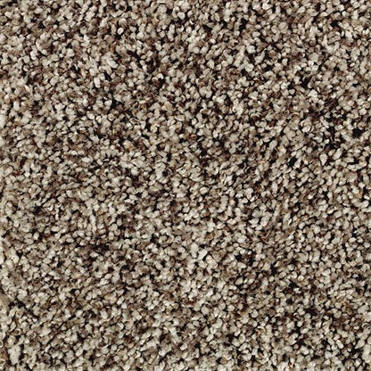Softly Elegant II in Brazilian Coffee Carpet