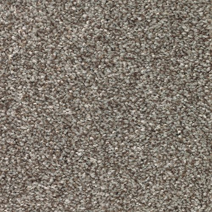 True Harmony in Nutmeg               Carpet
