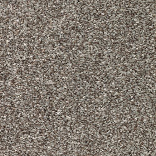 True Harmony in Nutmeg               Carpet