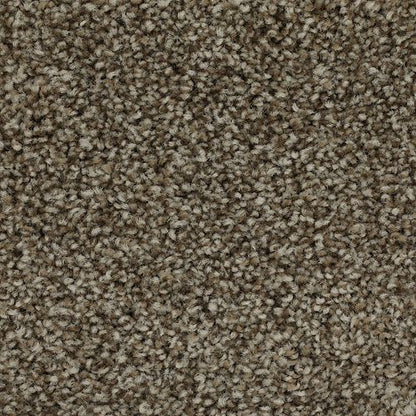 Effortless Choice in Melted Caramel Carpet