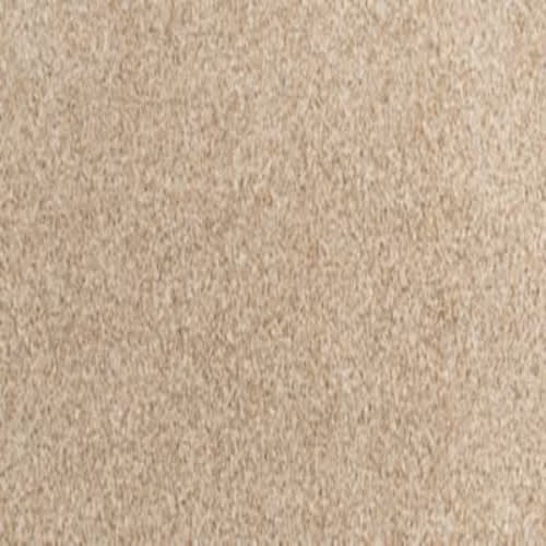 Cosmic in Primordial Carpet
