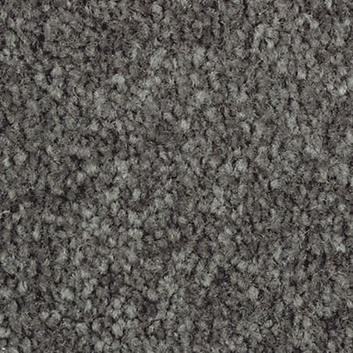 Homefront II in Elvin Forest Carpet
