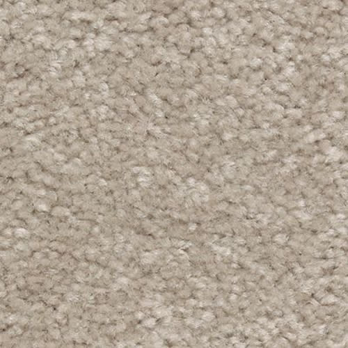 Classical Design III in Cappuccino Carpet