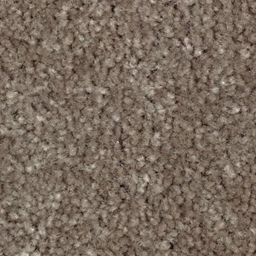 Homefront III in Coco Mocha Carpet