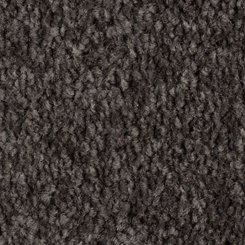 Homefront I in Meteorite Carpet