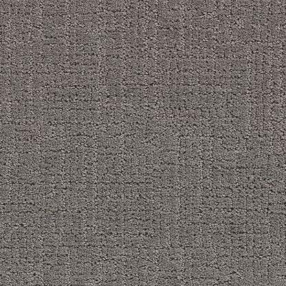Delicate Path in Gun Powder Carpet