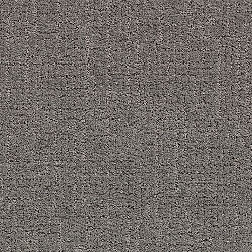 Delicate Path in Gun Powder Carpet
