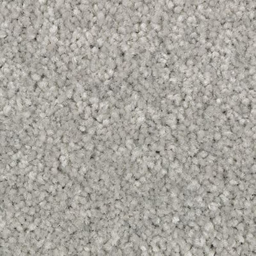 Elegant Appeal I in Rocky Ridge Carpet