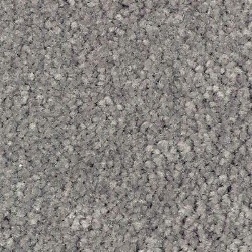 Elegant Appeal III in Thunder River Carpet