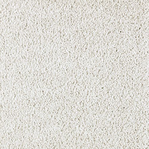 Exquisite Attraction in Artisan Hue Carpet