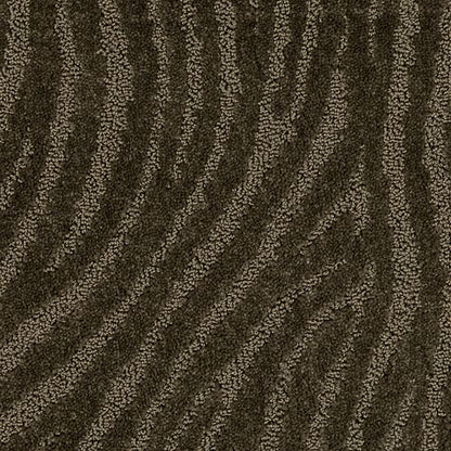 Distinct Flair in Cocoa    Carpet