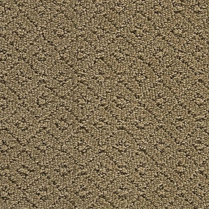 Remarkable Elegance in Rococo Beige Carpet