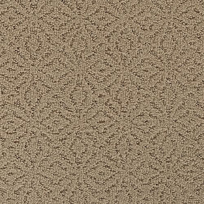 Exquisite Charm in Marsh Grass Carpet