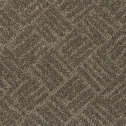 Impressive Edge in Harvest Home Carpet